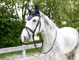 Ušna kapa za konje "Tampa"