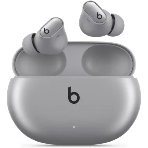 APPLE Beats Studio Buds + spacesuit grey