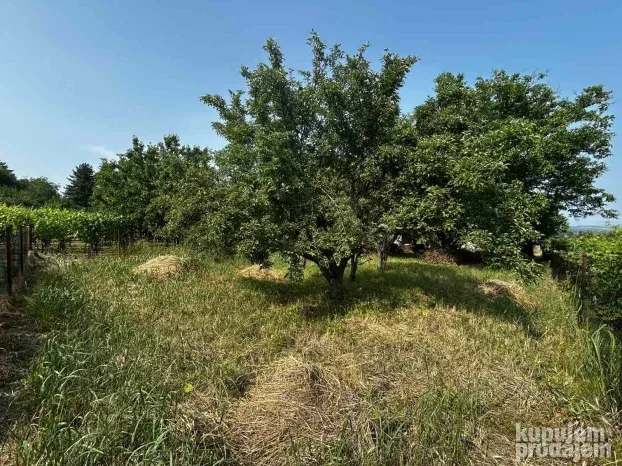 Vikendica, 50m2, Čortanovci Banstol