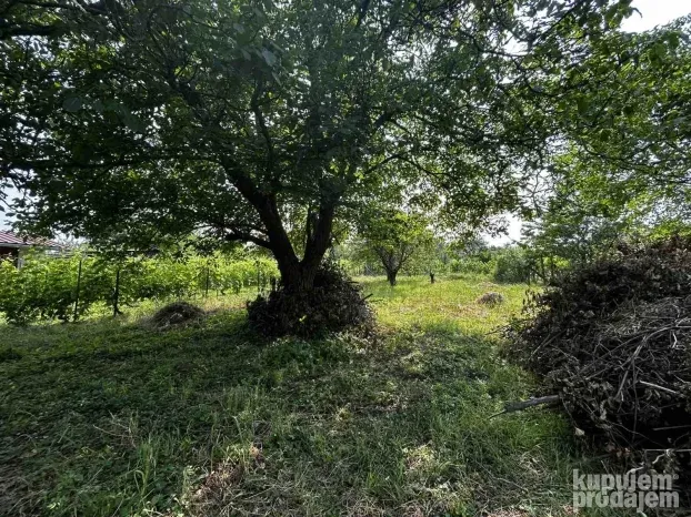 Vikendica, 50m2, Čortanovci Banstol