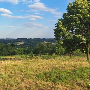 Milosava Djorica Zoke, Vranić, 10 ar