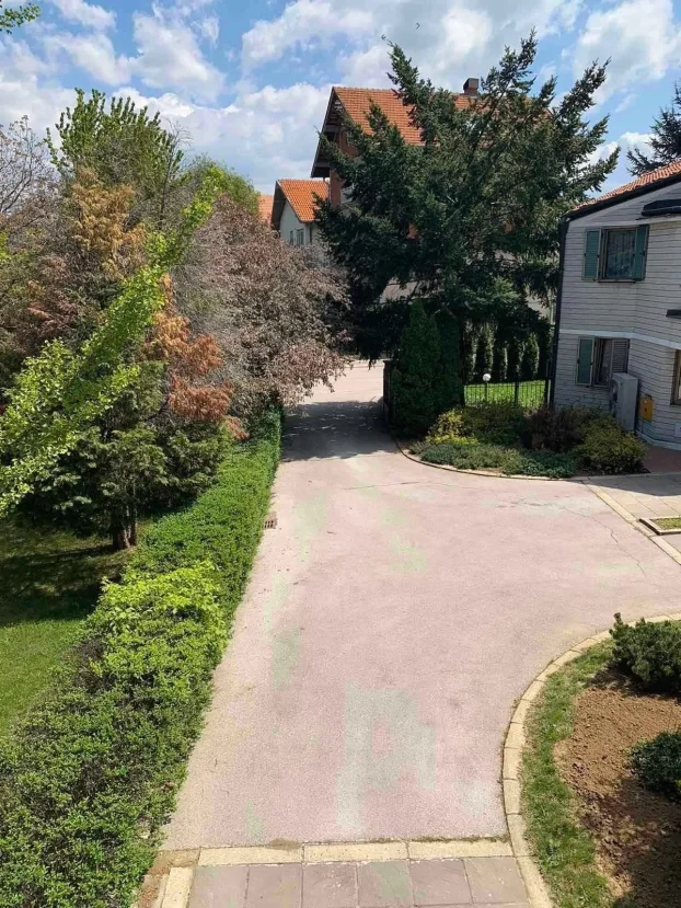 Pantelej, 4.0 četvorosobna, 290 m²