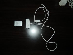 Apple Ipod