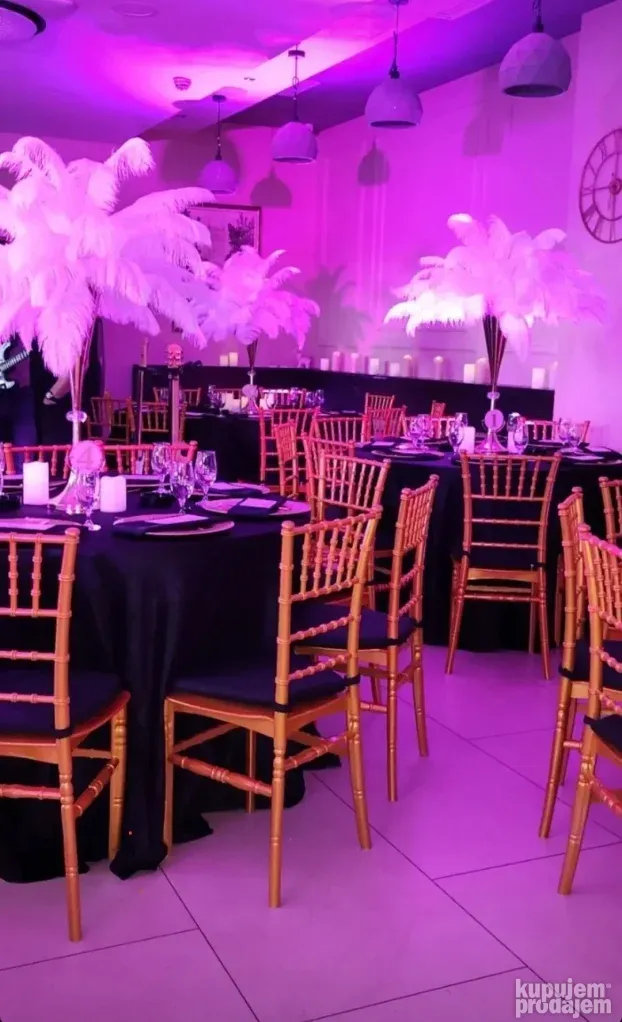 Pagode stolovi stolice - iznajmljivanje