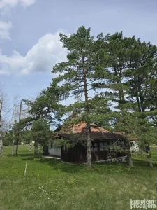 Old mountain cabin "Aska"- Divčibare
