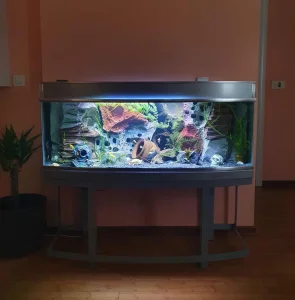 Akvarijum sa ribicama