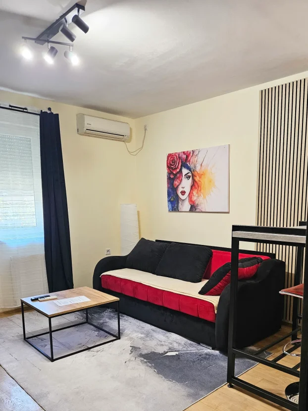 Stan na dan Novi Sad + parking!