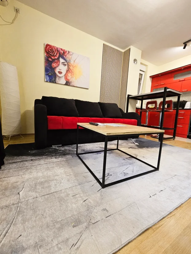 Stan na dan Novi Sad + parking!