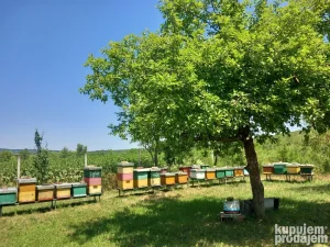 Rojevi na prodaju