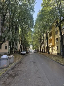 Vojvode Mišica 14, Stari grad, 1.0 jednosoban, 21 m²