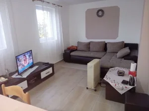 537107,Odlična vikendica na odličnoj lokaciji,40m2,Krušedol