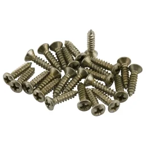 Fender Roadworn Pkgrd Plate Screws