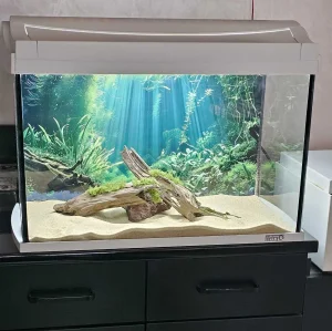 Tetra akvarijum 54L