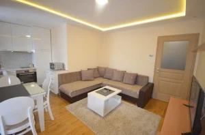 Apartman vip zvezdica2 izdavanje Zlatibor