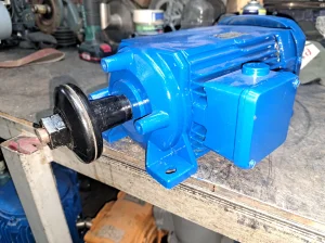 Stolarski motor 3 kw 2900