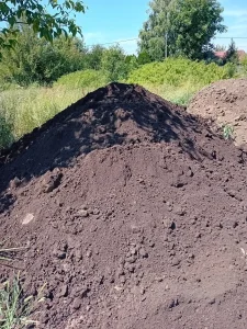 Crna zemlja humus za dvorište