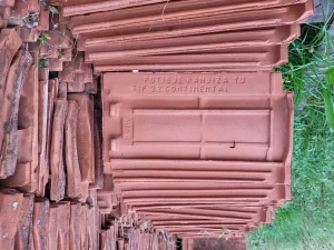 Crep Kanjiža Continental