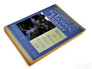 The Ecstatic Journey / Sophy Burnham