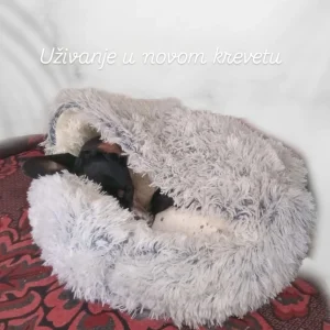 Krevet za jazavičare