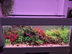 Komplet akvarijum 320L + Eheim 2260 + Week Aqua P1200 pro