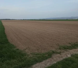 Poljoprivredno zemljište od 14.865m2 u Futogu! š. 546720