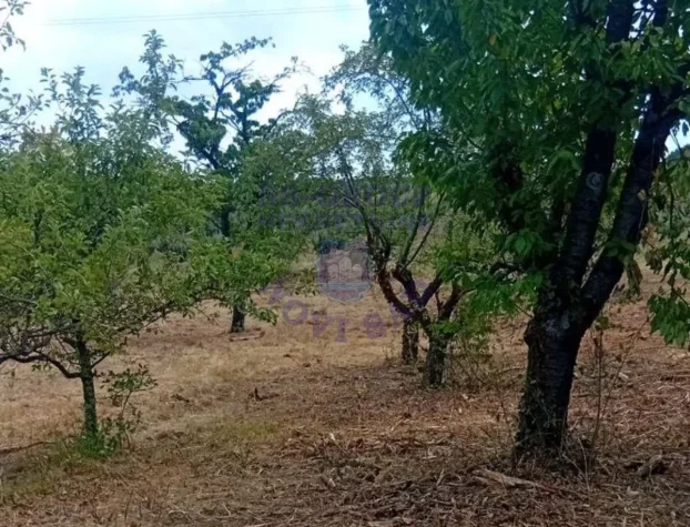 Sremski Karlovci, Fruška gora, 2.0 dvosobna, 26 m²