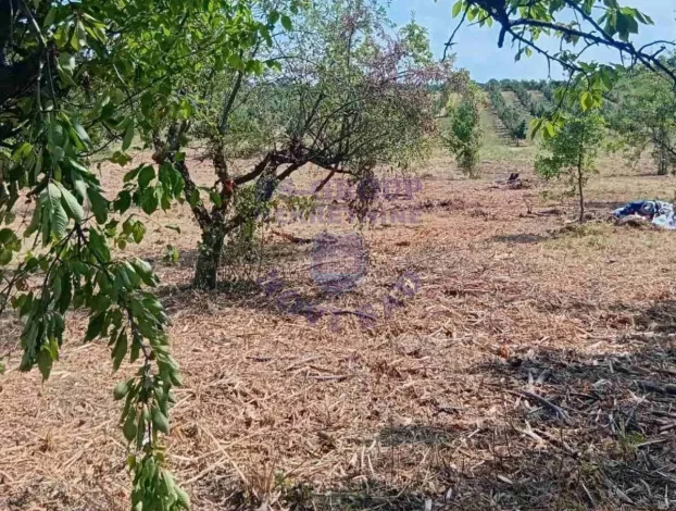 Sremski Karlovci, Fruška gora, 2.0 dvosobna, 26 m²