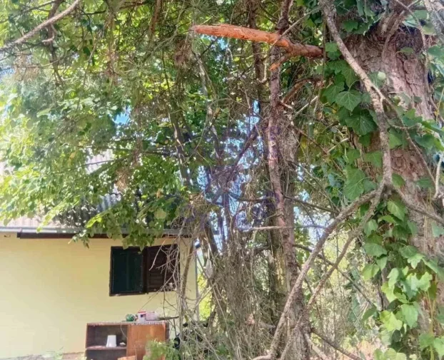 Sremski Karlovci, Fruška gora, 2.0 dvosobna, 26 m²