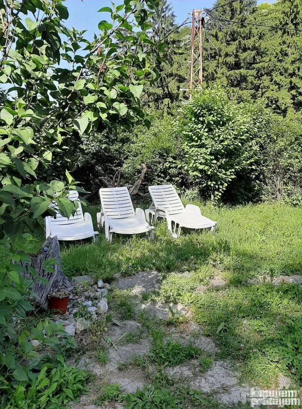Forest Fruška