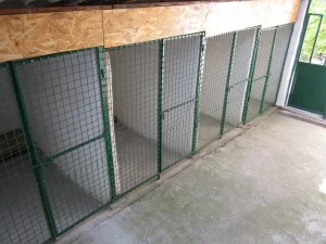 Pansion za pse Novi Sad