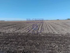 Srbobran obradiva zemlja 23.560m2!