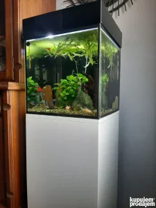 akvarijumi