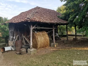 Ambar