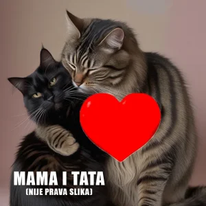 Maine Coon MAČIĆI SU STIGLI!