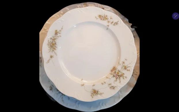 Rosenthal monbiyou, Nemačka za kolače-torte