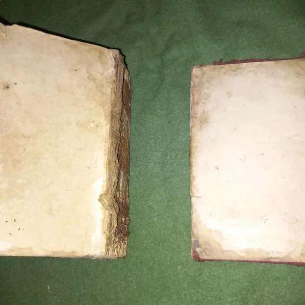 Sveta knjiga Trebnik