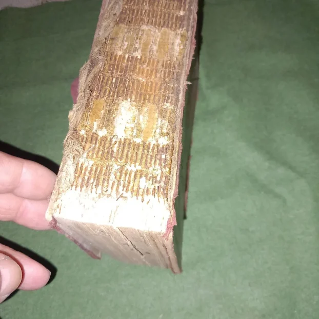 Sveta knjiga Trebnik