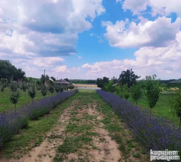 Privatno Jezero Na Dan