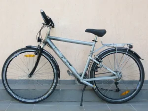 Bicikl-PHIL ROGGERS Timicua 28"