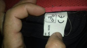 Leki Lumbar Protector motor štitnik Made in Italy Universal