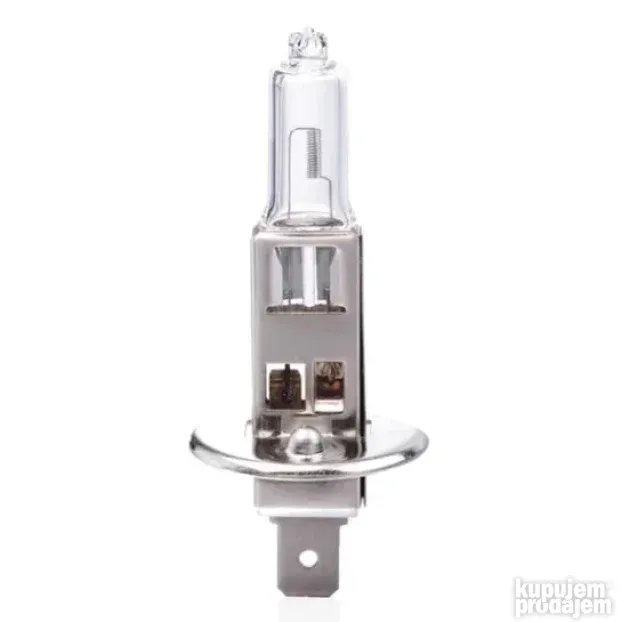 Sijalice H1, 12V 55W (1 kom) - Amio 01484