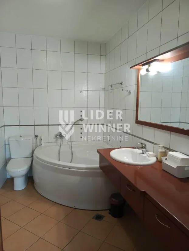 Vajara Đoke Jovanovića, Dedinje, 5+ petosobna, 459 m²