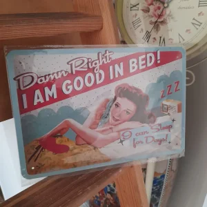 Damn Right metalna tabla 20x30cm