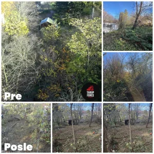 PROFESIONALNO košenje i krčenje  TARUPOM