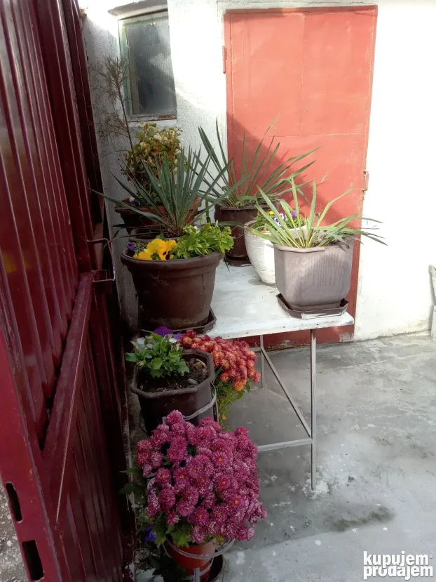 mali Leskovac 21, Karaburma, 3.0 trosobna, 50 m²