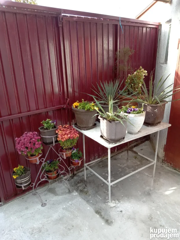 mali Leskovac 21, Karaburma, 3.0 trosobna, 50 m²