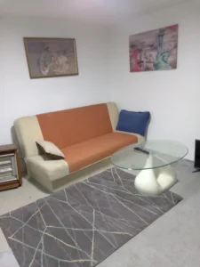 mali Leskovac 21, Karaburma, 3.0 trosobna, 50 m²