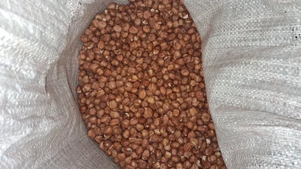 Prodajem lesnik sirovi I peceni