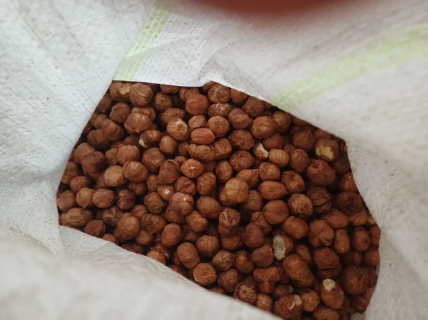 Prodajem lesnik sirovi I peceni