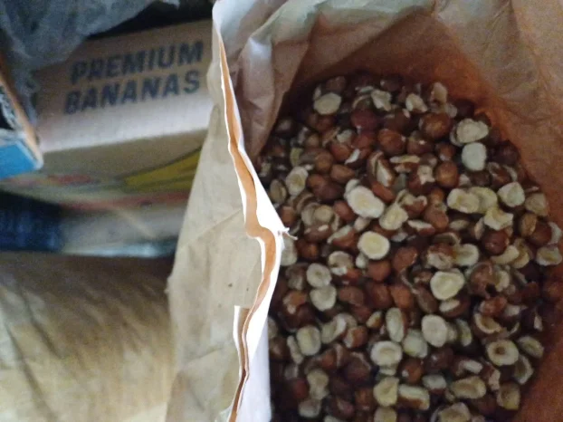 Prodajem lesnik sirovi I peceni